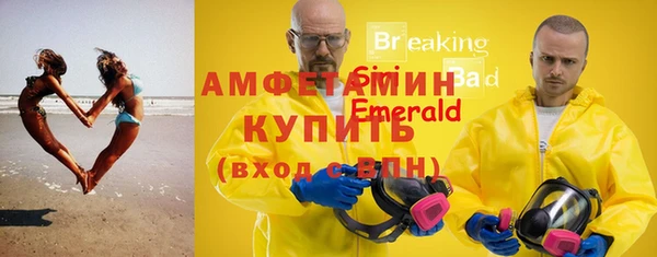 сатива Беломорск