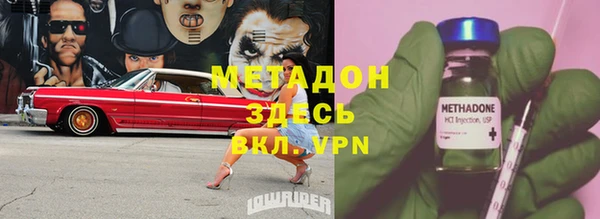 сатива Беломорск