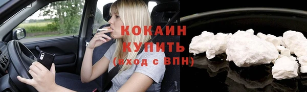 сатива Беломорск