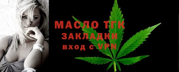 сатива Беломорск