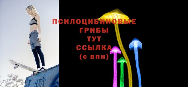 сатива Беломорск
