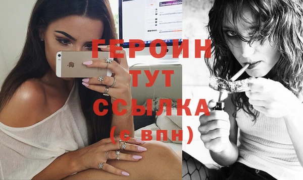 сатива Беломорск