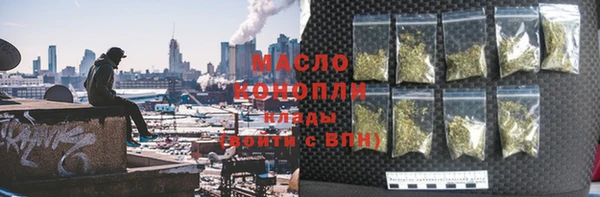 сатива Беломорск