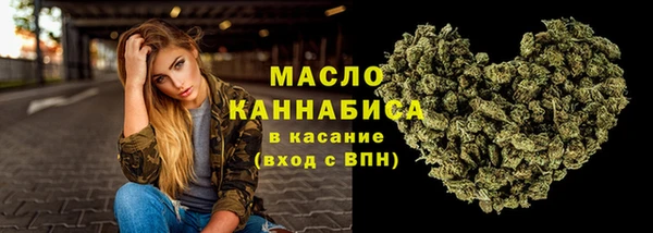 сатива Беломорск