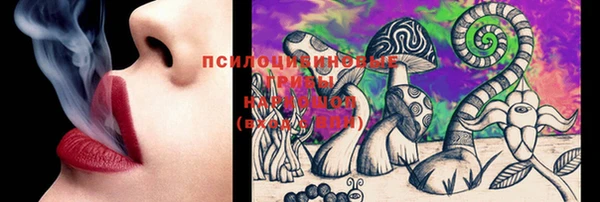 ешки Белокуриха