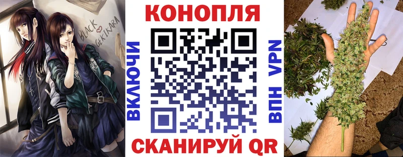 MEGA ссылка  shop клад  Бошки Шишки Bruce Banner  Курильск 